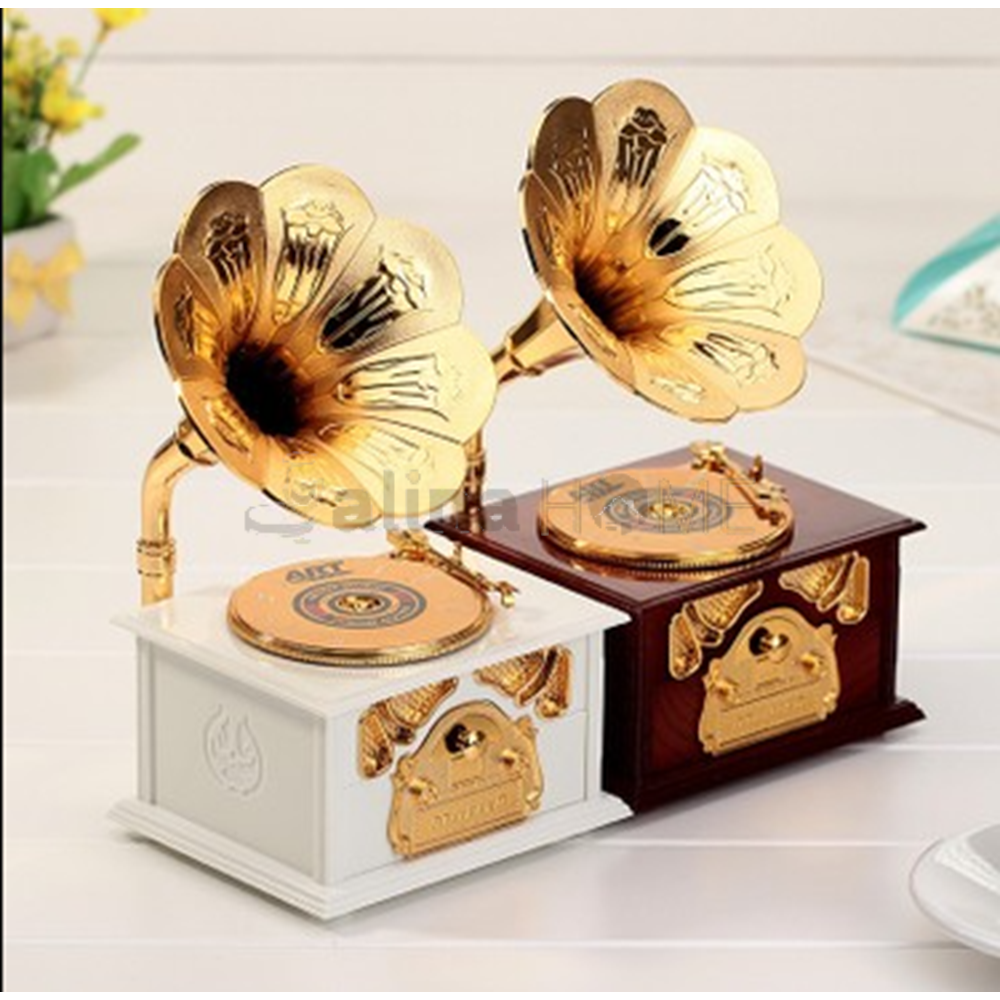 MUSIC MÜZİK KUTUSU NOSTALJİ PLAK MODEL 1*36