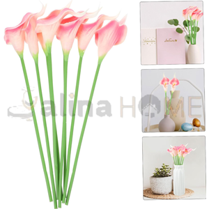BZD IVORY ÇİÇEK ISLAK ZAMBAK 6 LI PAKET 1*34