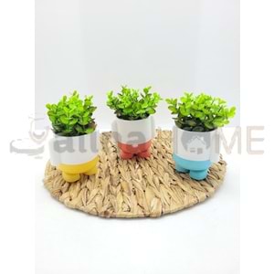 MOTİEV ÇİÇEK AYAKTA YAPRAKLI ŞİRİN SAKSI 1*96
