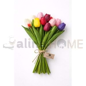 SVR ÇİÇEK ISLAK LALE 10 LU PAKET KAPALI 1*40