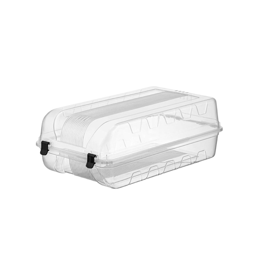 BEE HOME AYAKKABI KUTUSU ERKEK 1*24