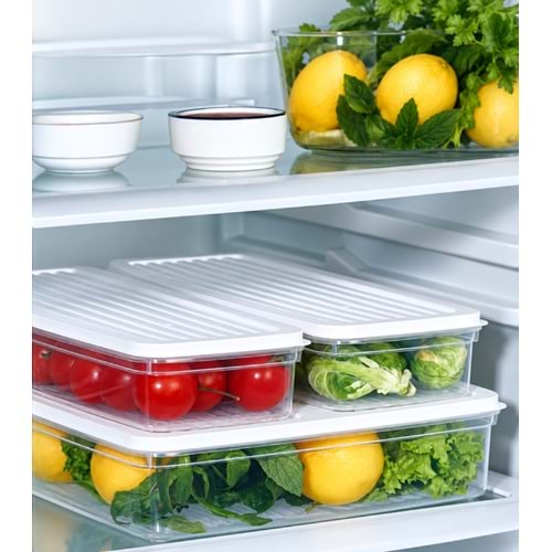 BEE HOME SAKLAMA SETİ SLİM 3 PARÇA 2,5 LT - 1 LT 1*24