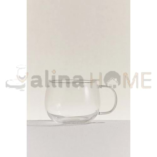 PAŞABAHÇE CAM KUPA KULPLU BOROSİLİKAT 410 CC 1*24