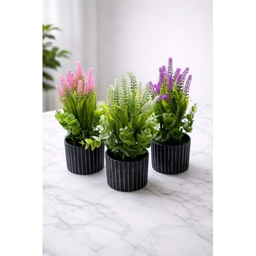 EGE ÇİÇEK SAKSILI LAVANTA BAHÇESİ ÇİÇEK 1*36