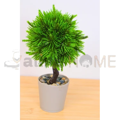 EVA SAKSIDA YILBAŞI TOP AĞACI 1*20