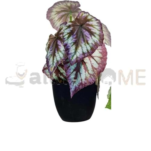 KRD SAKSILI YAPAY CALADIUM ÇİÇEĞİ 1*25