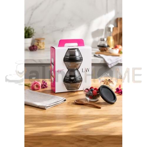LAV SAKLAMA KABI MASTER 4 LÜ ANTRASİT KAPAK 250 CC 1*6