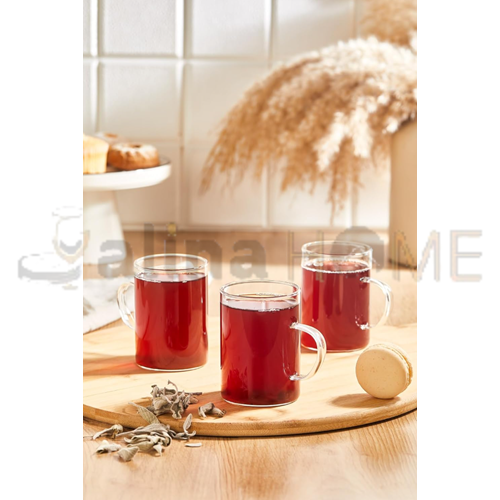 PBT HOME CAM BARDAK BOROSİLİKAT KULPLU 6 LI 1*24