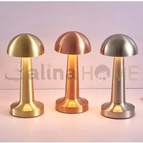 ASA MANTAR LED LAMBA DOKUNMATİK 1*30